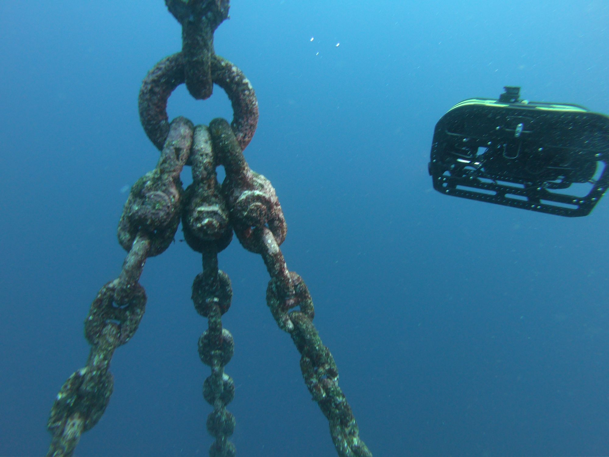 Fouled mooring chains converging at a shackle with an inspection ROV on task
